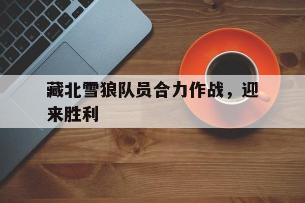 亚博体育app-神勇武工队传奇护送过黑狼谷